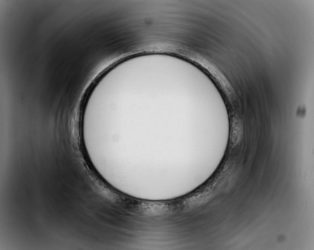 X0000103420886200810241032