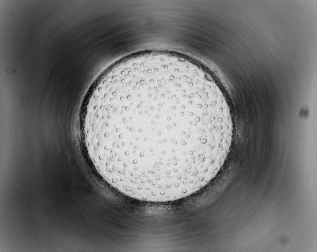 X0000103420887200810241032