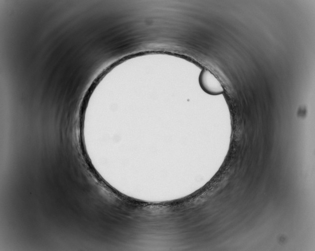 X0000103420888200810241032