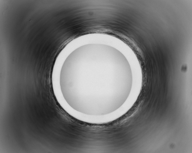 X0000103420889200810241031