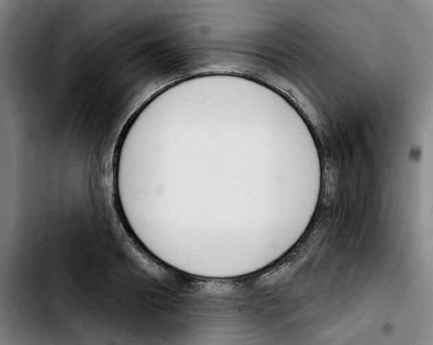 X0000103420890200810241031
