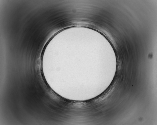 X0000103420891200810241031