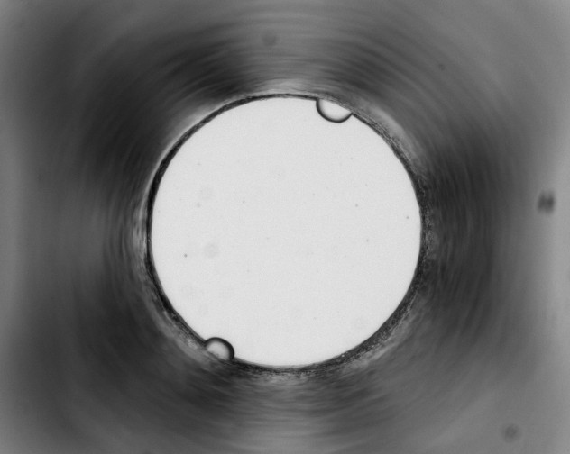 X0000103420892200810241031