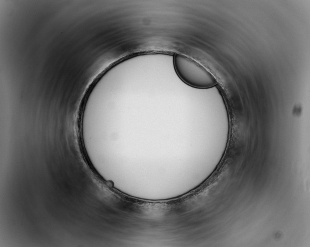 X0000103420893200810241031