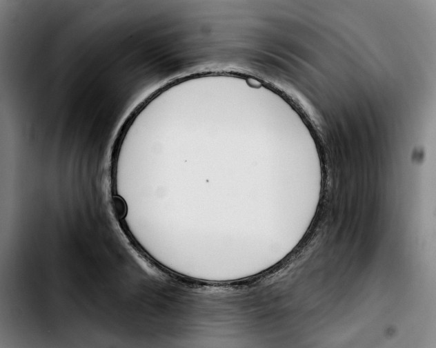 X0000103420894200810241031