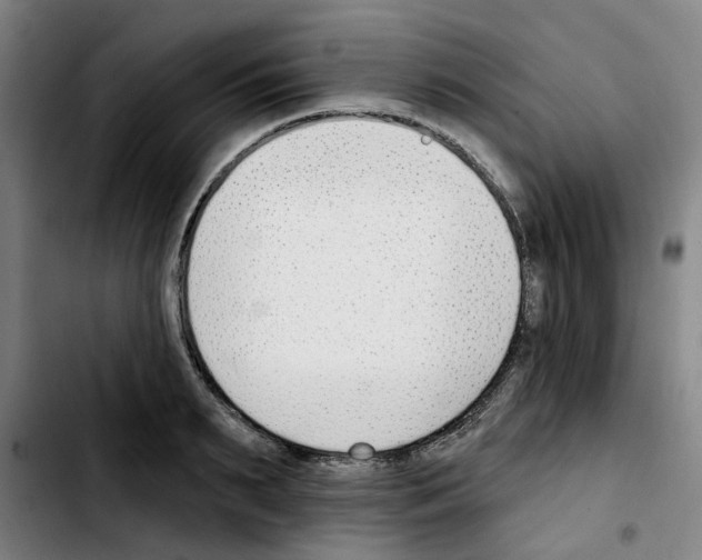X0000103420895200810241031