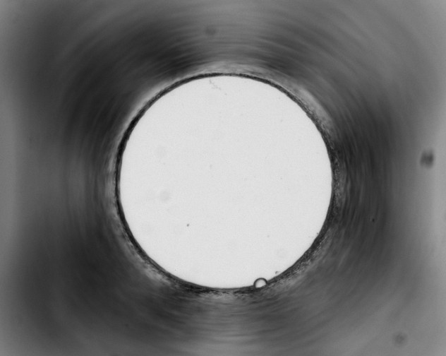X0000103420896200810241031