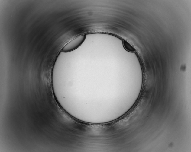 X0000103420897200810241031