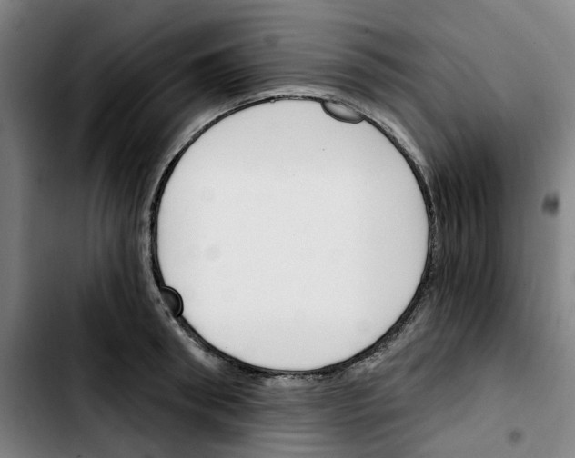 X0000103420898200810241031