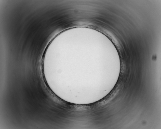 X0000103420899200810241031