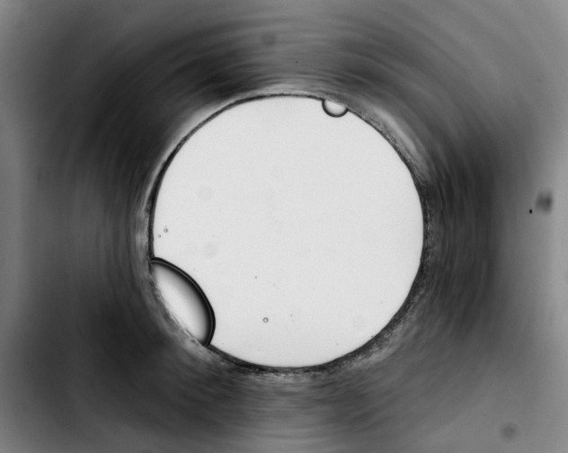 X0000103420900200810241031