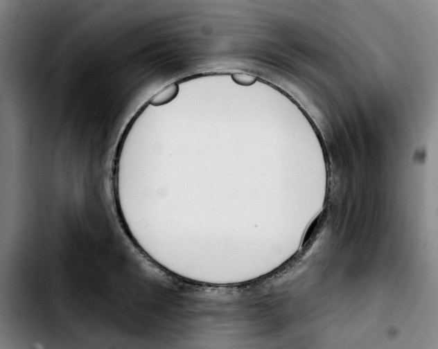 X0000103420901200810241031