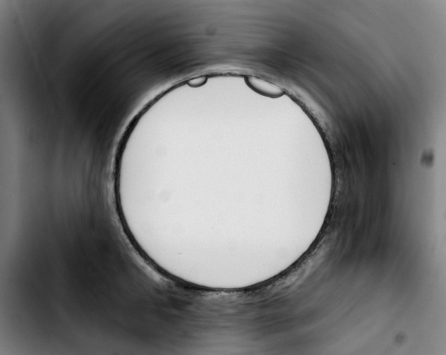 X0000103420902200810241031