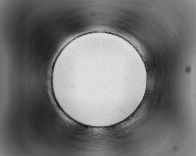 X0000103420903200810241031