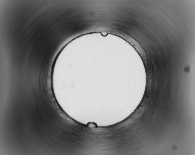 X0000103420904200810241031