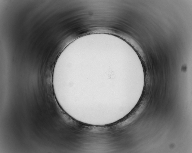 X0000103420905200810241031