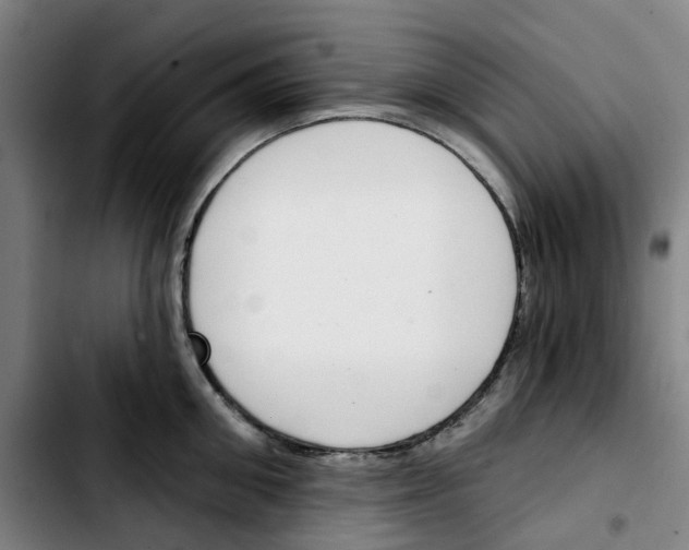X0000103420906200810241031