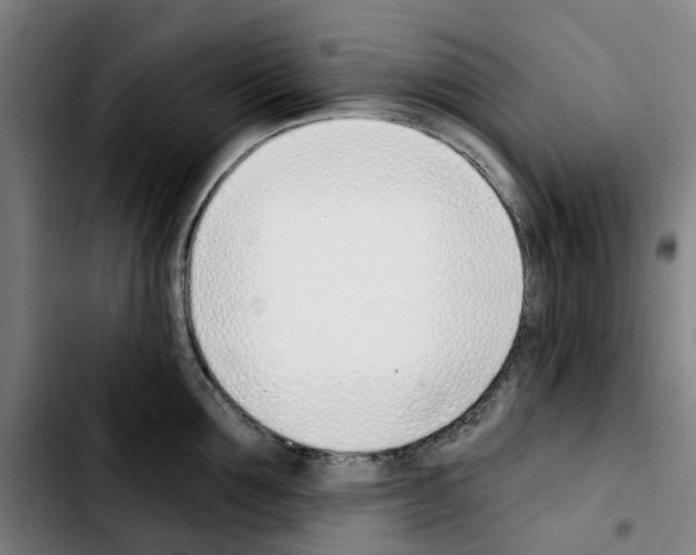 X0000103420907200810241031