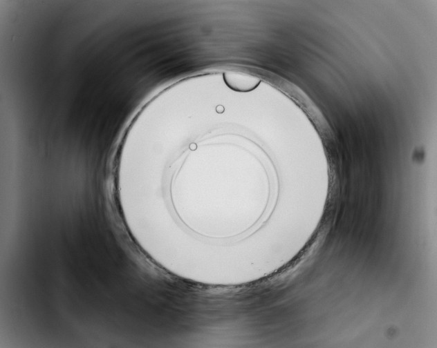 X0000103420908200810241031