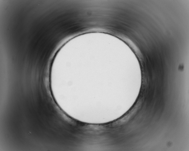 X0000103420910200810241031