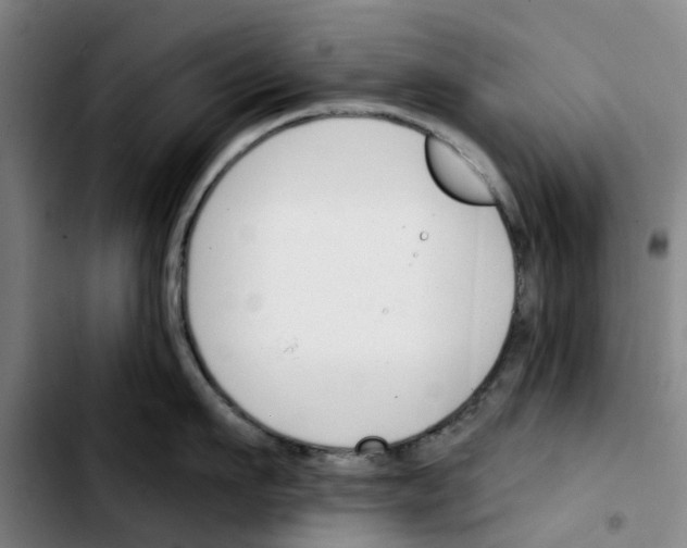 X0000103420911200810241031