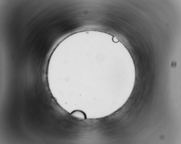 X0000103420912200810241031