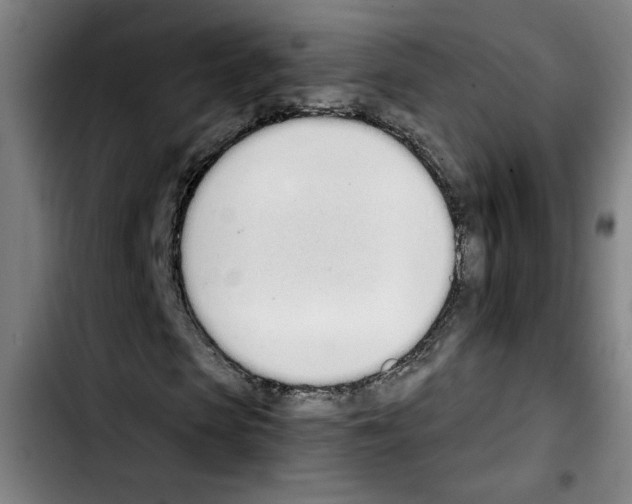 X0000103420913200810241030
