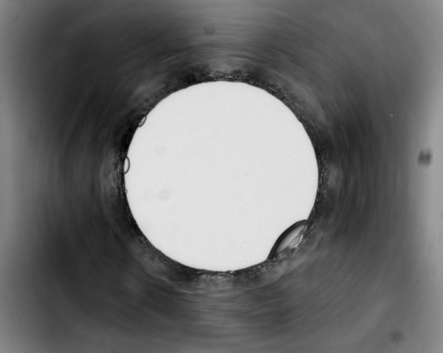 X0000103420914200810241030