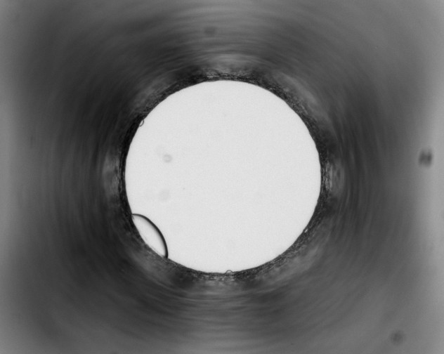 X0000103420915200810241030