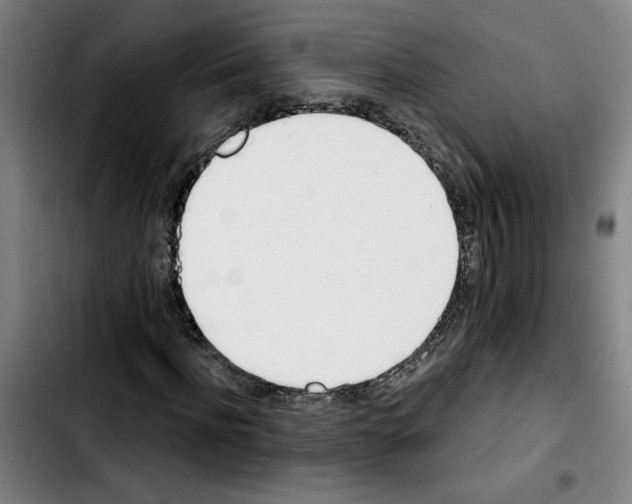 X0000103420916200810241030