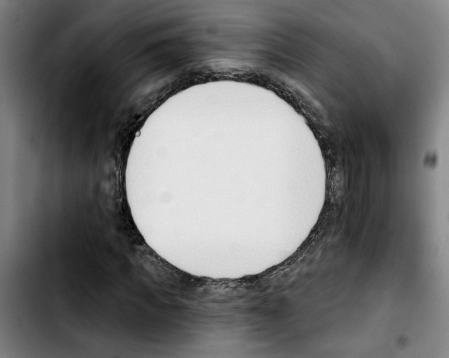 X0000103420917200810241030