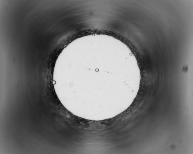 X0000103420918200810241030