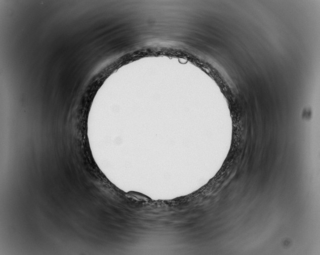 X0000103420919200810241030
