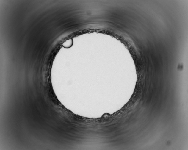X0000103420920200810241030