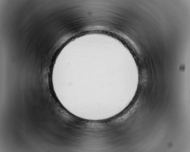 X0000103420921200810241030