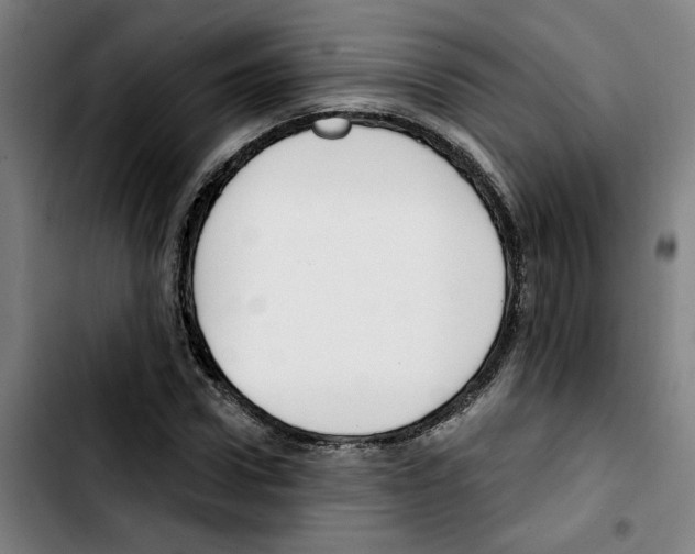 X0000103420922200810241030