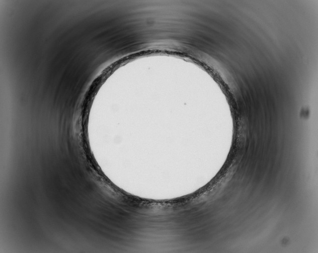 X0000103420923200810241030