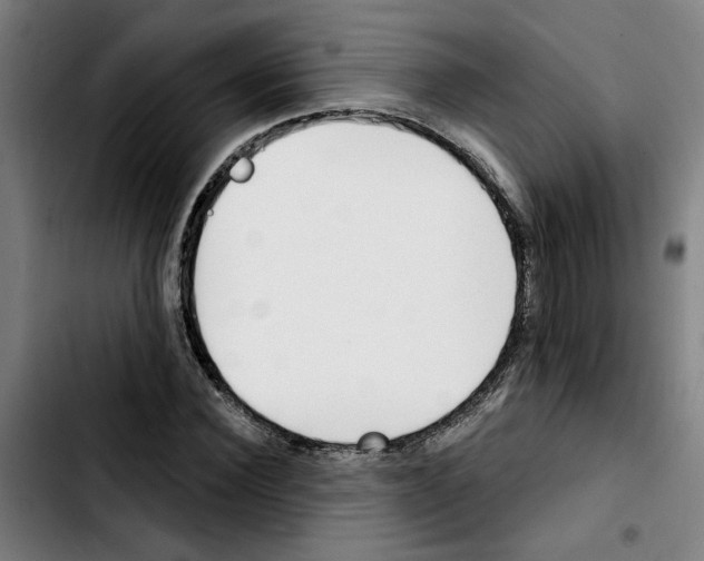 X0000103420924200810241030