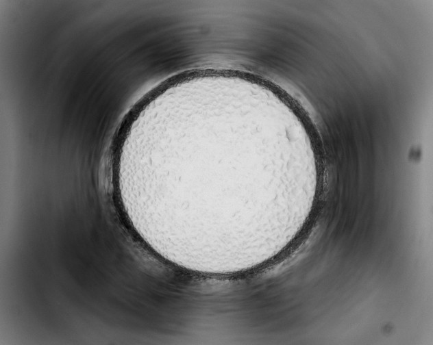 X0000103420925200810241030