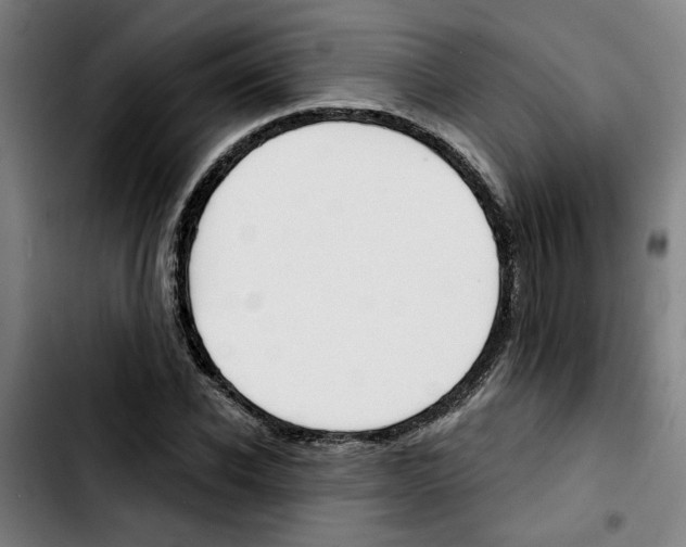 X0000103420926200810241031
