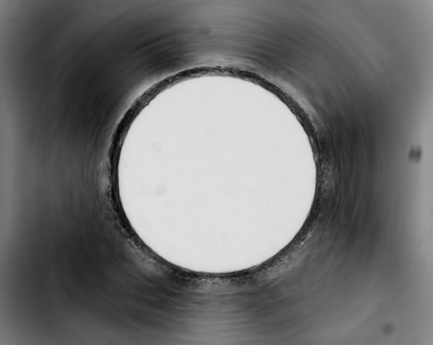 X0000103420927200810241031