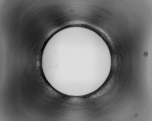 X0000103420929200810241031