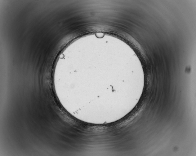 X0000103420930200810241031