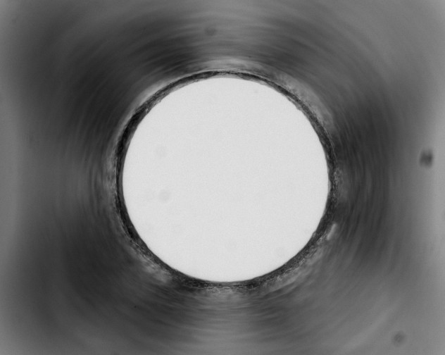 X0000103420931200810241031