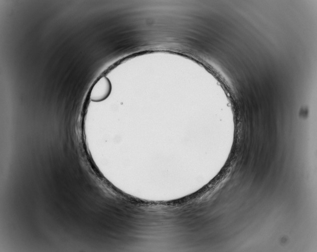 X0000103420932200810241031