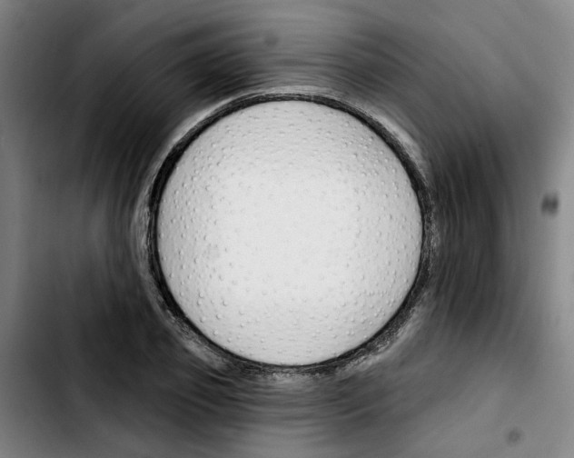 X0000103420933200810241031