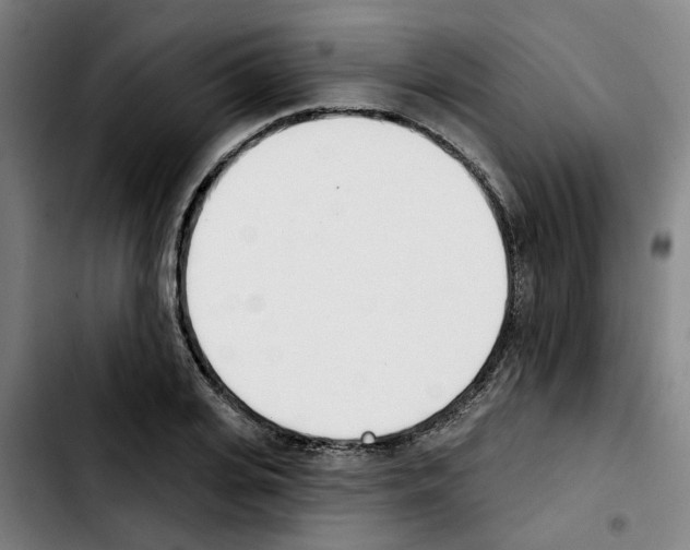 X0000103420935200810241031
