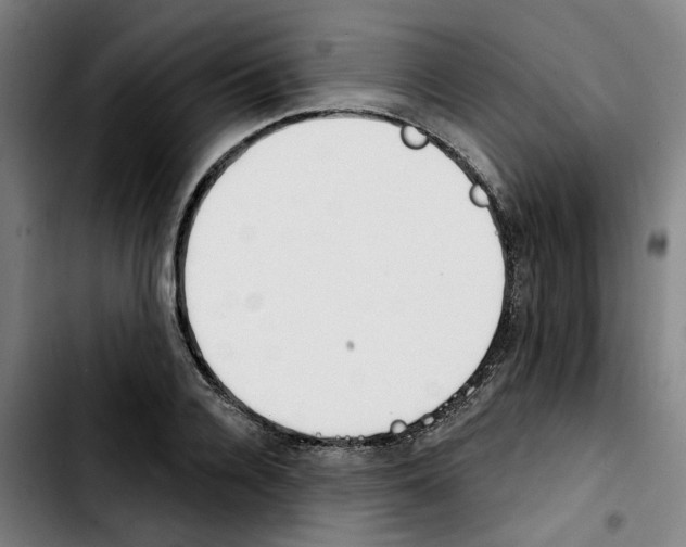 X0000103420936200810241031