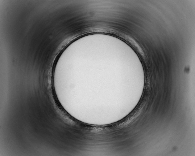 X0000103420938200810241031