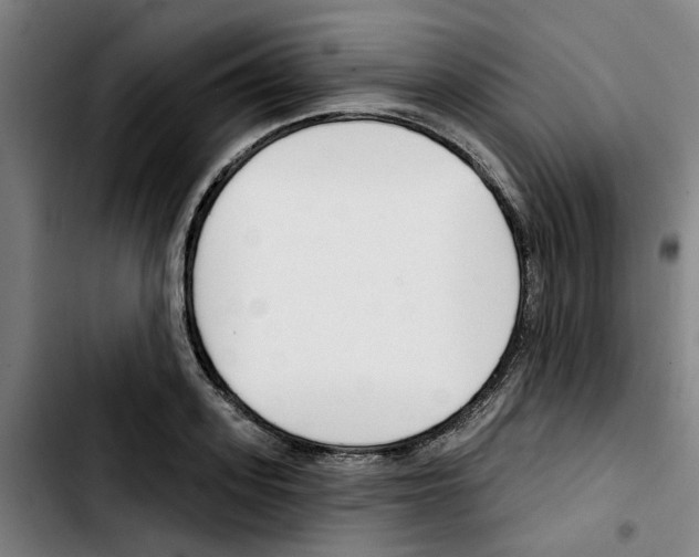 X0000103420939200810241031